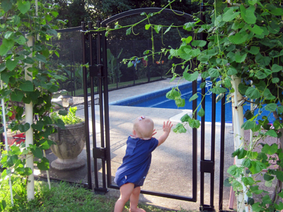 Visi Guard self-latching, self-closing pool gate