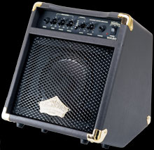 Washburn 12 watt acoustic amp- WA20