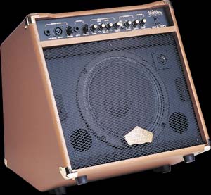 Washburn 30 watt Amp