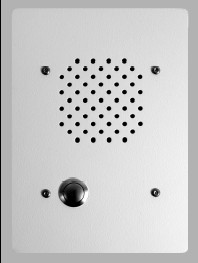 Flush Mount Vandal Proof Door Station (LS-NVP/C)
