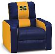 Michigan Wolverines Dreamseat