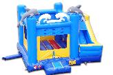 Dolphin Bounce and Slide (CH-8095B)