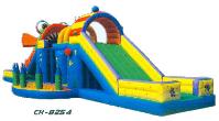Giant Fish Climb and Slide (CH-8254)