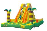 Palm Jungle Climb and Slide (CH-8341)