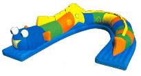 Worm Tunnel (CH-8502)