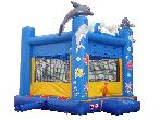 Dolphin Moon Bounce (CH-8095)