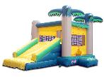Palm Tree Bounce and Slide 3 (CH-8094C)