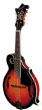 Taurus TM-007 Mandolin (TM-007)