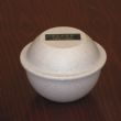 Hoegh Saturn Urn For Dog & Cat Ashes