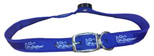PlexiDor Blue Nylon Collar w/RDIF Key