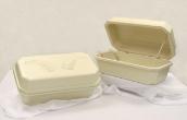 #24 Almond - Double Wall Pet Casket Hoegh - Regular Style