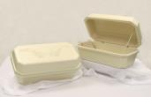 Hoegh Large Pet Casket #32 Almond - Double Wall - Regular Style