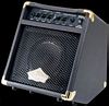 Washburn 12 watt acoustic amp- WA20