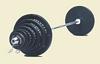 USA+Sports+BOSS%2D300+Olympic+Weight+Set