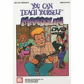 Washburn B120 Banjo