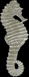 Decorative Aluminum Seahorse (Facing right)
