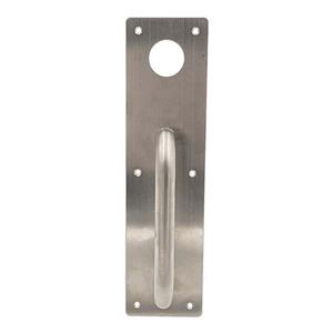 Sentry Safety Pull Handle (#001)