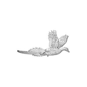 Pheasant in Flight