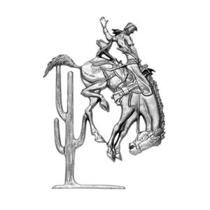 Decorative Aluminum Bronco
