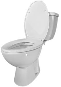 Lift Assure Rear Outlet P-trap Design White American Elongated 2-Piece toilet Kit
