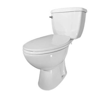 Lift Assure Rear Outlet P-trap Design White American Elongated 2-Piece toilet Kit