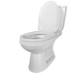 Lift Assure European Compact Design Rear Outlet White Elongated 2-Piece Toilet Kit