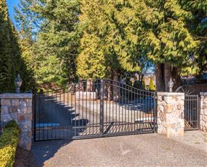 Swing Gate Opener Products from Reputable Brands