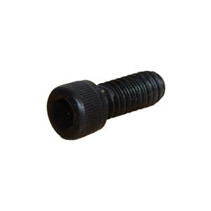 Screw 1/4-20 - 10553