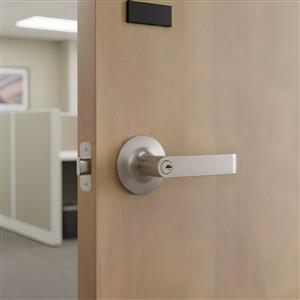 Sentry Safety Lever Handle Lock