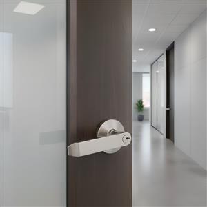Sentry Safety Lever Handle Lock