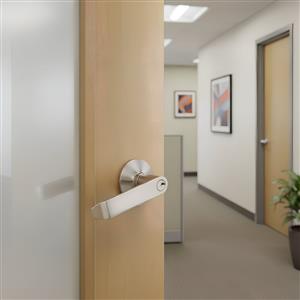 Sentry Safety Lever Handle Lock