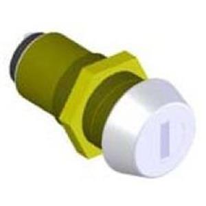 Single Pole Key Switch with 2 keys for Apollo 1500/1600/1550ETL/1650ETL