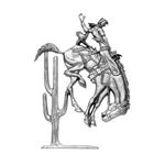 Decorative Aluminum Bronco