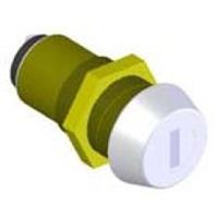 Single Pole Key Switch with 2 keys for Apollo 1500/1600/1550ETL/1650ETL